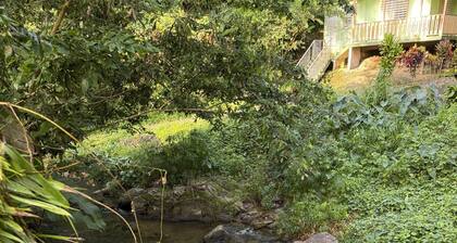 Charming 7-bedroom farmhouse in Río Cañas Abajo