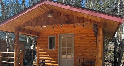 1 bedroom cabin in the heart of The Black Hill close to Hill City SD