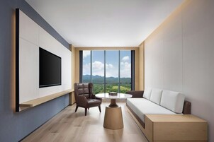 65-inch LCD TV with cable channels, printers