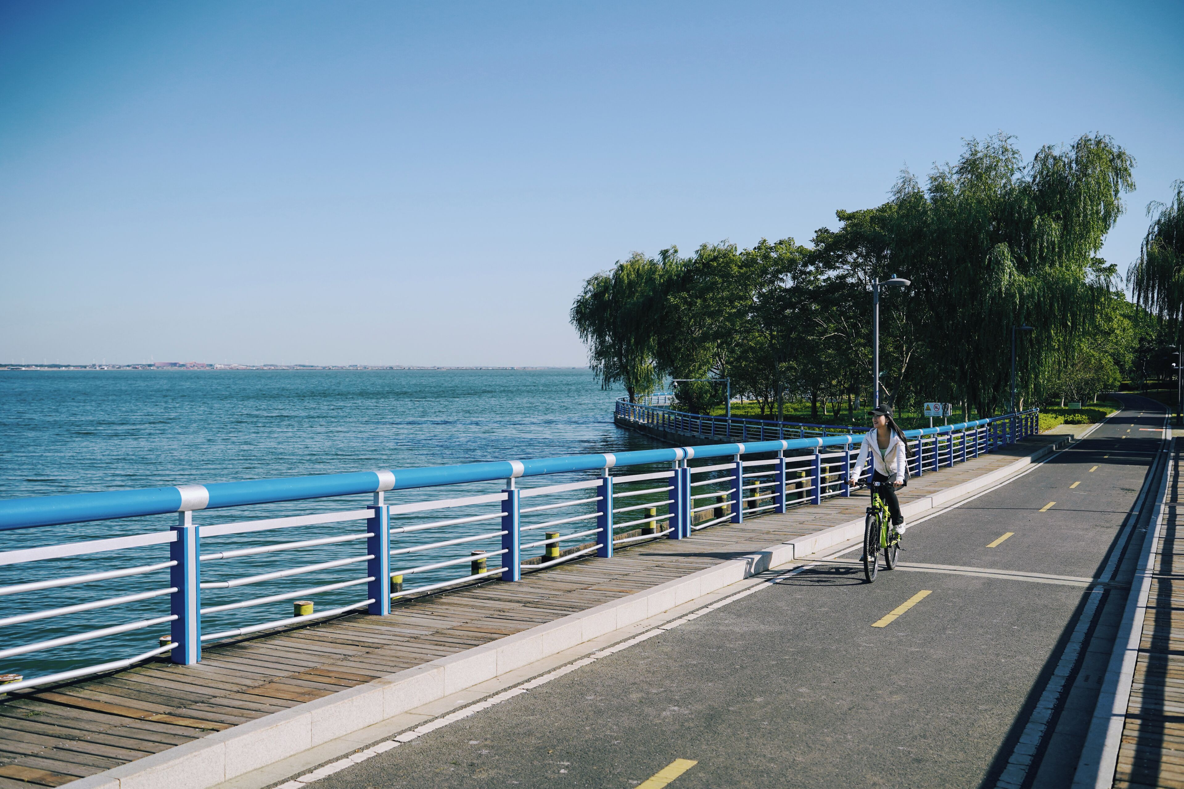 A waterfront promenade with a blue railing, a paved path, and a cyclist.