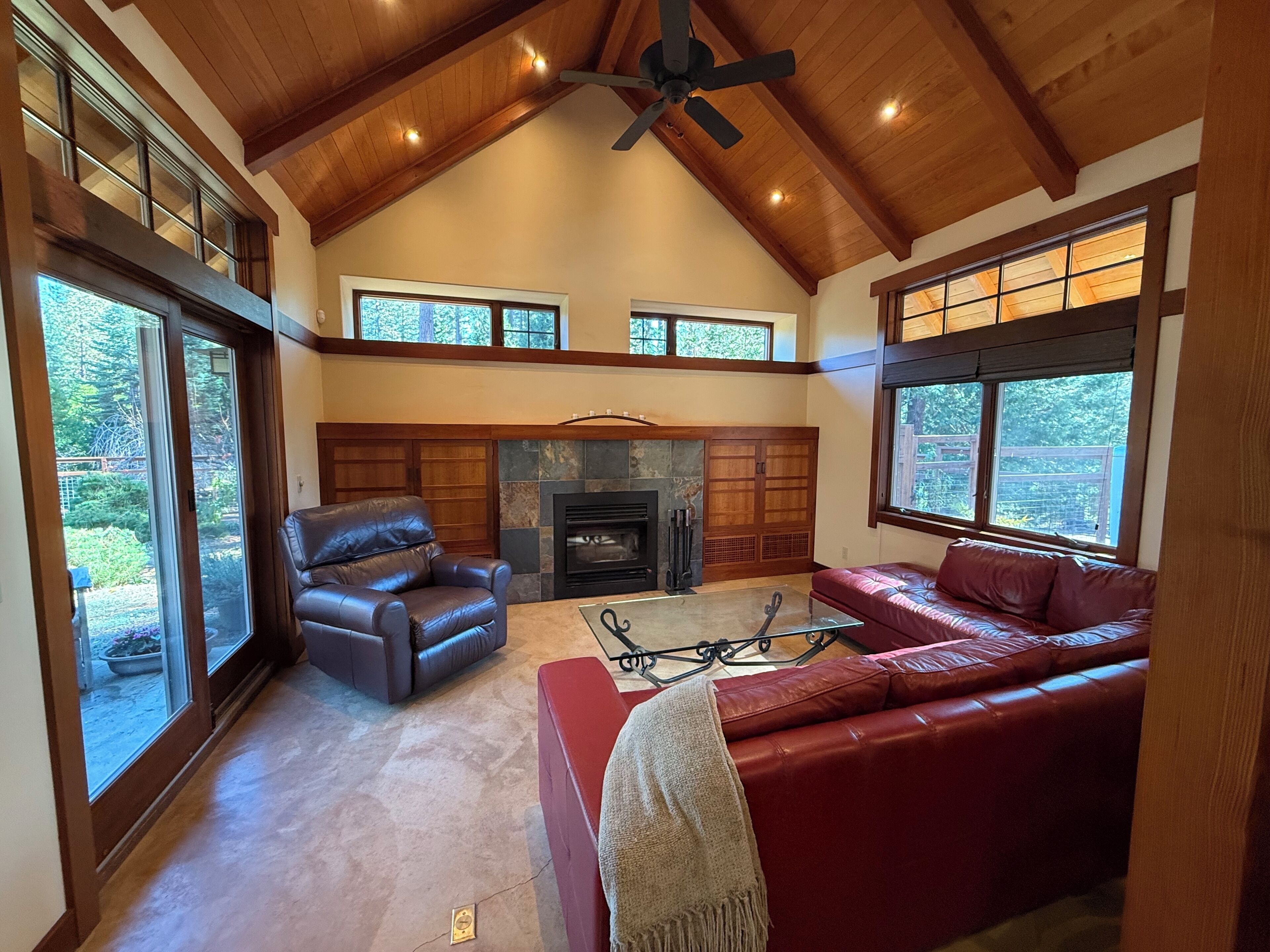 Smart TV, fireplace, books, stereo