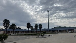 Un vaste parking agrémenté de palmiers et un bâtiment sur lequel on peut lire l’inscription « BUREAU ».