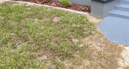 Charming and Cozy Winter Haven Oasis