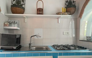 Fridge, stovetop