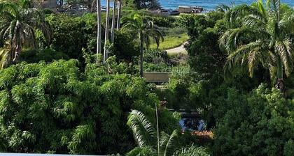 Apartamento de Ensueño en Belair Frente al Mar