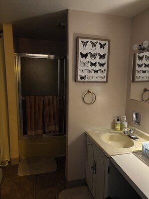 Hair dryer, towels, soap, toilet paper