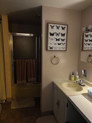 Hair dryer, towels, soap, toilet paper