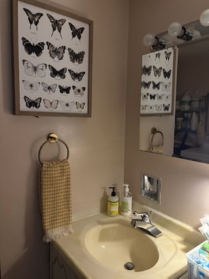 Hair dryer, towels, soap, toilet paper