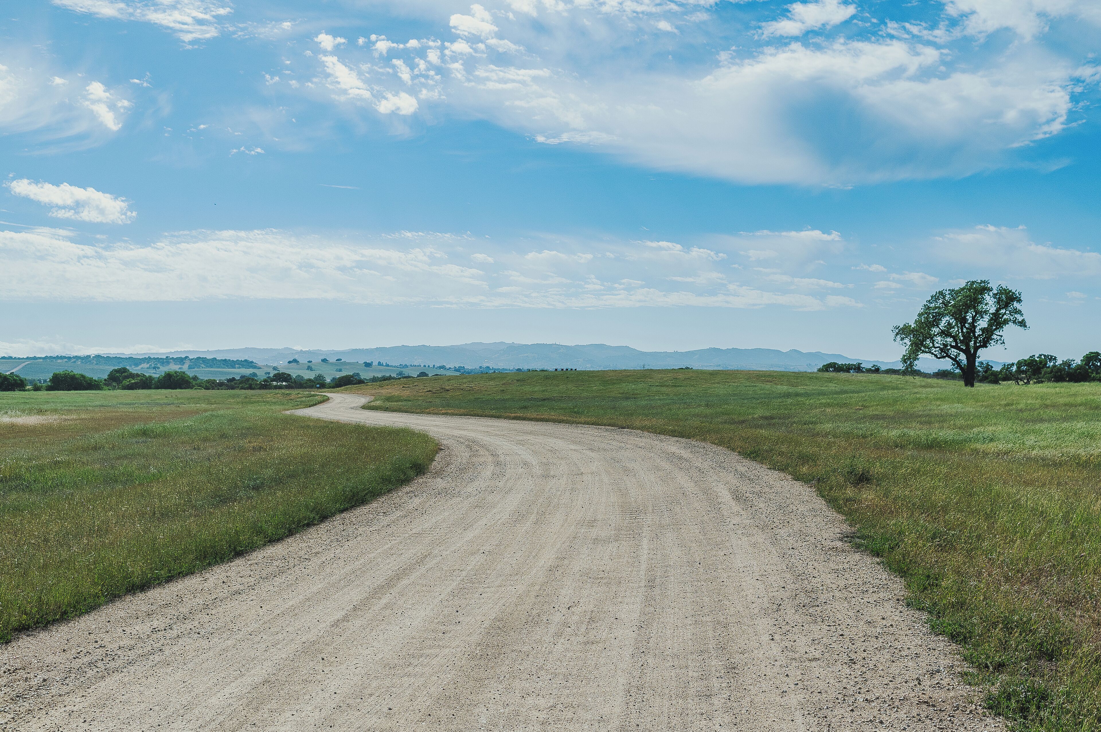 A rural dirt road curving through a grassy field with a single tree on the right.