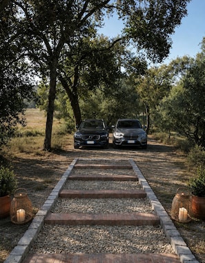 A pathway leading to two parked cars, surrounded by trees and gravel.