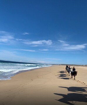 Une plage avec un ciel dégagé, une rive sablonneuse et un groupe de personnes à cheval.