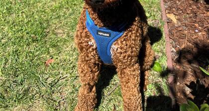 Charming Santa Barbara Cottage