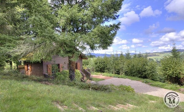 A rustic cabin with a gravel driveway and a wooden staircase leading up to the entrance.
