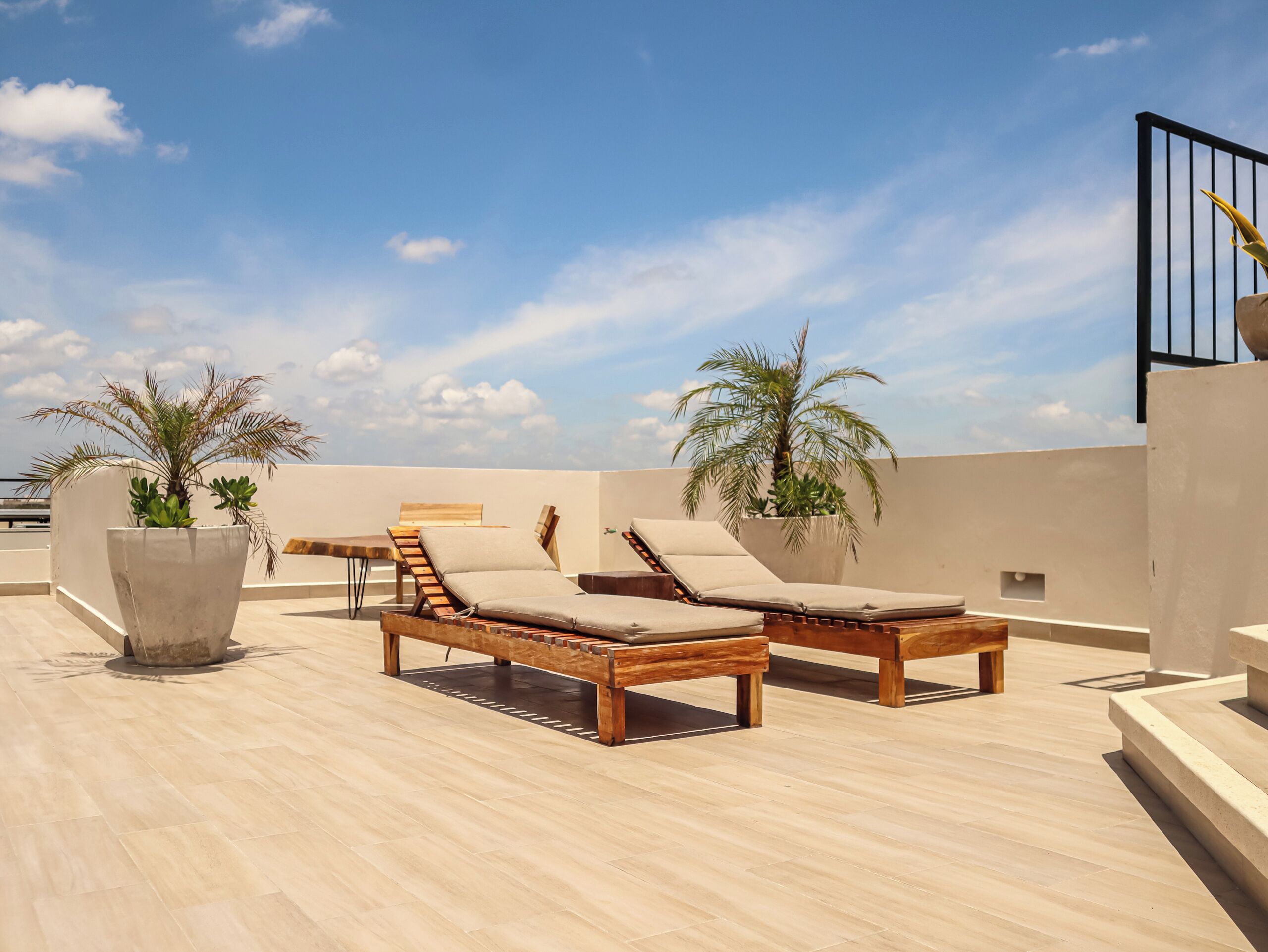 Une terrasse sur le toit, avec deux fauteuils de jardin en bois, un grand pot contenant un palmier et un ciel d’un bleu éclatant.