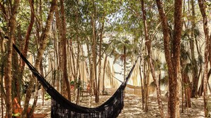 A hammock suspended between trees in a forested area with a bench nearby. - Luxury Apartment in Botánic Tulum 2 Br (Tulum)