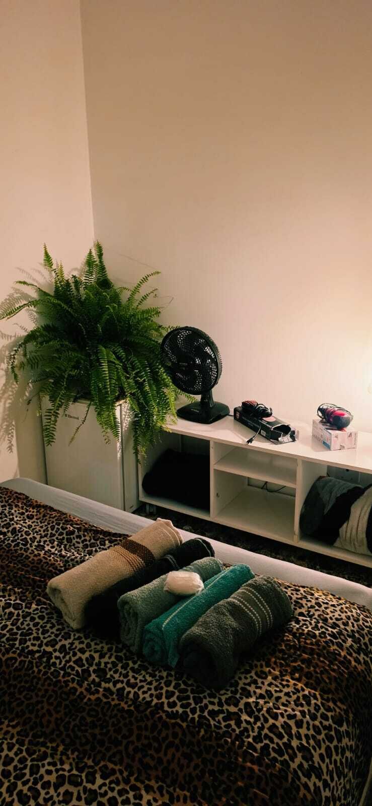 A bedroom with a bed, a leopard print blanket, a green plant, a fan, and a shelf with items.