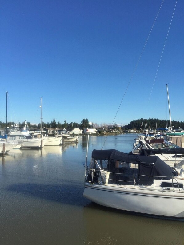Marina