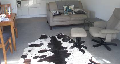 Central location, close to town amenities, sleeps 3 ,no pets, no children.