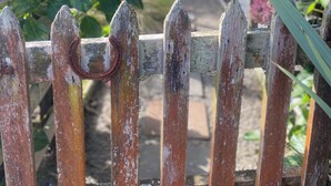 A wooden gate with a rusty metal ring, leading to a garden with hydrangea flowers and a wooden pergola. - Weka cabin, great views (Wainui)
