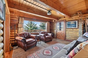 Televisión, chimenea y libros 