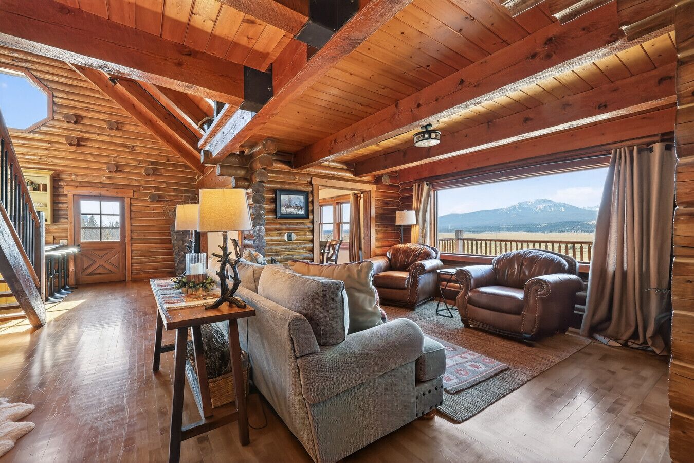 TV, fireplace, books