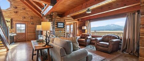 Televisión, chimenea y libros