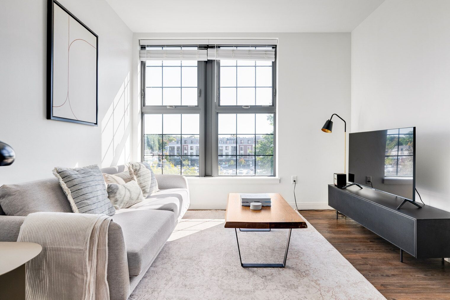 テレビ、ステレオ