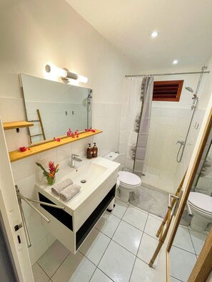 Shower, hair dryer, towels, soap