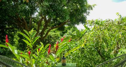 Villa Ti Kaz Houelmont nested in a tropical garden next to Riviere Sens beach