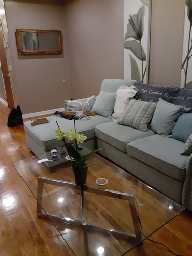 Beautiful condo with AC in vibrant Chicago
10 mins to beach. 10 mins to downtown