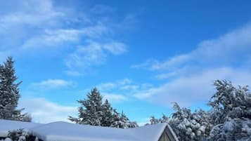A house with a snow-covered roof and trees, under a clear blue sky.