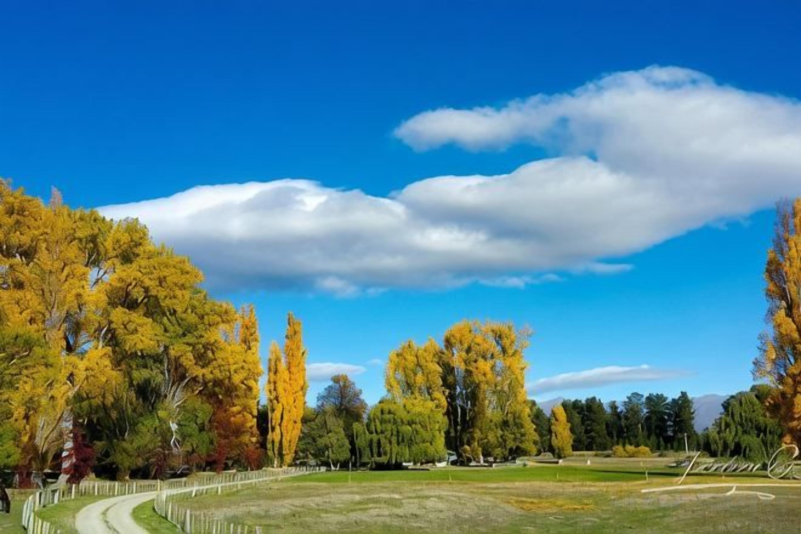 A park with a pathway, trees, and a clear sky.