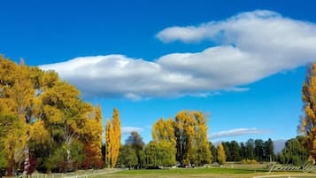 A park with a pathway, trees, and a clear sky.