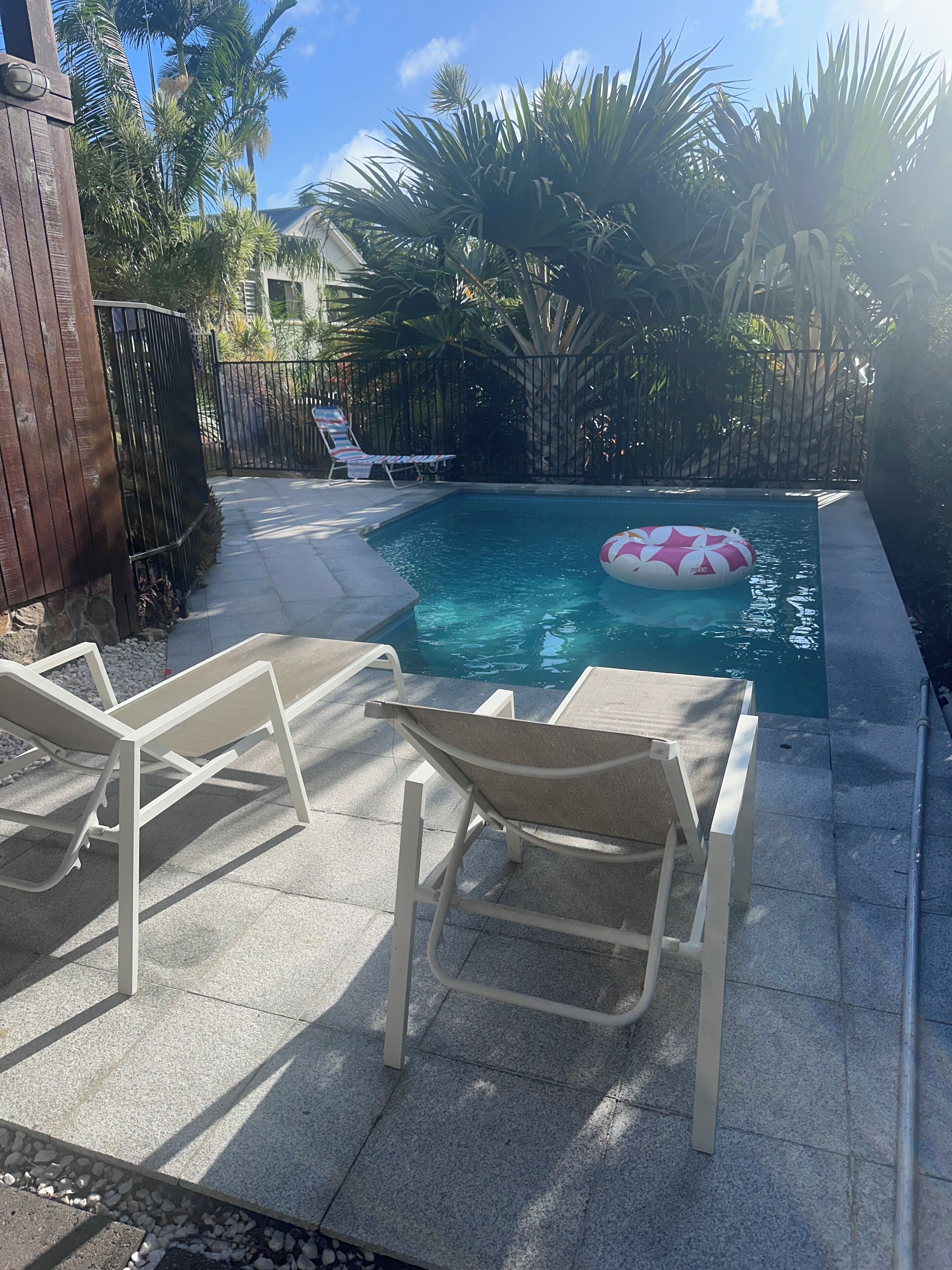 Una piscina con sillas de descanso y una palmera al fondo.