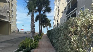 Property grounds - Cozy 1-bedroom condo across street from beach in terrific North Redington Beach (North Redington Beach)