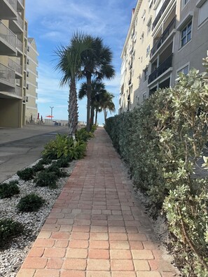 Property grounds - Cozy 1-bedroom condo across street from beach in terrific North Redington Beach (North Redington Beach)