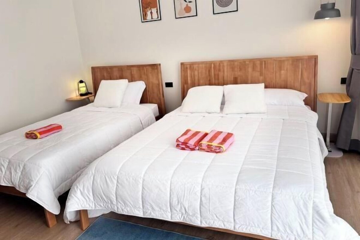 Two single beds with wooden headboards, white bedding, and a blue rug.