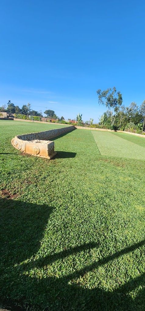 Un'area verde curata con una panchina in pietra e un cielo azzurro.