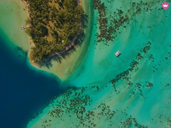 Pool - CATAMARAN SAILING CRUISE - TUAMOTU (Fakarava Atoll)