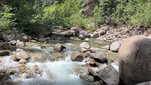 A natural stream surrounded by dense forest and tall trees. - Yun-Shui Garden 
Where Clouds Drift, Water Flows (Durango)