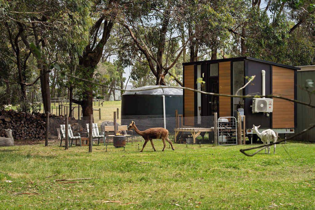 Jardines del alojamiento