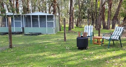 Sleeping Amongst Animals by Tiny Away