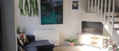 TV