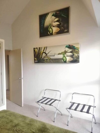 Kiwiana Art apartment , near city and Queens Park