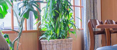 Villa de base, vue sur la montagne | AccĂšs au Wi-Fi (inclus), literie fournie