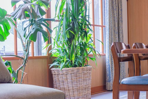 The Snowfront Apartment Nabe Sun -HAKUBA GORYU-