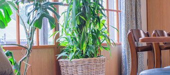 The Snowfront Apartment Nabe Sun -HAKUBA GORYU-