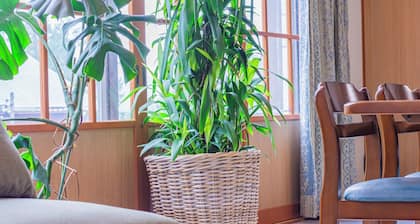 The Snowfront Apartment Nabe Sun -HAKUBA GORYU-