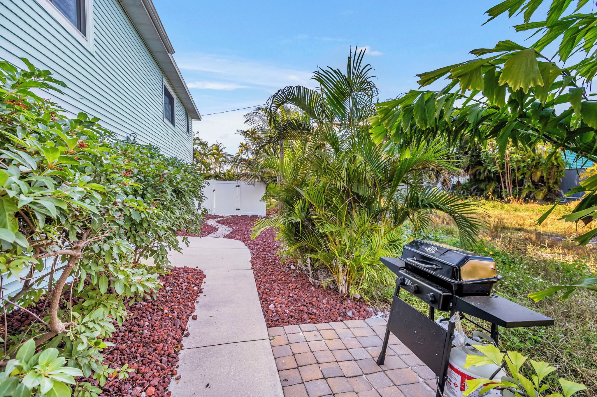 Un jardin avec un barbecue, un chemin dallé et différentes plantes.