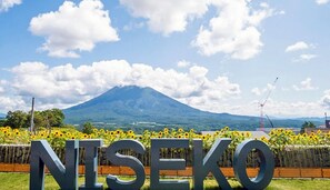 Terrain de lâhĂ©bergement